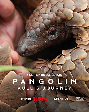cover1.jpg