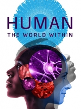 人类：体内的世界 (2021) 6集全 英语内封简繁 Human.The.World.Within.S01.1080p.NF.WEBRip.DDP5.1.x264