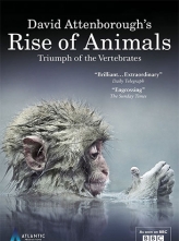 动物的崛起：脊椎动物的胜利 (2013) 2集全 英语中字.1080p.BluRay.x264.AAC.CHS-ENG