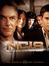 ﰸ鴦  1-18ȫ+Ļ NCIS.S01-S18.1080p.AMZN.WEBRip.DDP5.1.x264