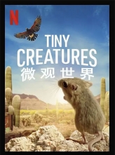 微观世界 Tiny Creatures (2020) 8集全 [内置中文] Tiny.Creatures.S01.1080p.NF.WEBRip.DDP5.1.x264 [10.45GB]