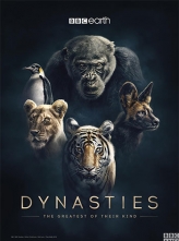 [4K蓝光原盘 BBC4K纪录片] 王朝 Dynasties.UK.S01.2160p.BluRay.HEVC.DTS-HD.MA.5.1