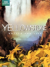 黄石公园 [中文字幕] Yellowstone.Battle.For.Life.2009.S01-S03.1080p.BluRay.x264