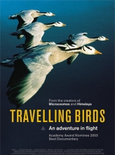 雅克·贝汉《自然三部曲》系列：《迁徙的鸟》、《海洋》、《地球四季》