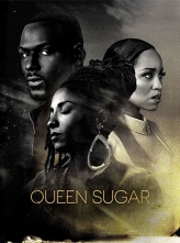 Ů 1-4ȫ Ļ Queen.Sugar.S01-S04.1080p.HULU.WEBRip.AAC2.0.x264