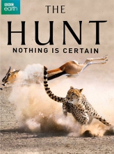 [BBC纪录片]  猎捕  The.Hunt.2015.S01.BluRay.1080p.x264.DTS-HD.MA.5.1-HDChina