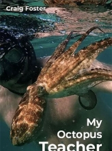 我的章鱼老师 (2020) 英语内封中字 My.Octopus.Teacher.2020.1080p.NF.WEBRip.DDP5.1.x264 [4.61GB]