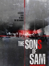 山姆之子：黑暗深渊 (2021) 4集全 英语内封简中 The.Sons.of.Sam.A.Descent.into.Darkness.S01.1080p.NF.WEBRip.DDP5.1.x264