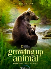 动物成长 (2021) 6集全 英语内封简中 Growing.Up.Animal.S01.1080p.WEBRip.DDP5.1.x264