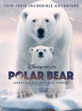 北极熊 Polar Bear (2022) 英语内封简中 Polar.Bear.2022.1080p.DSNP.WEBRip.DDP5.1.Atmos.x264