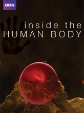 人体奥秘  (2011) 4集全 中文字幕 Inside.The.Human.Body.S01.1080p.BluRay.x264