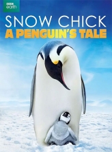 帝企鹅宝宝的生命轮回之旅 (2015) 中文字幕 Snow Chick - A Penguin's Tale (2015) (1080p BluRay x265 HEVC 10bit AAC 2.0 Silence