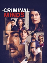  1-15ȫ+Ļ Criminal.Minds.S01-S15.1080p.AMZN.WEBRip.DDP5.1.x264.NTb