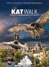 阿姆斯特丹猫未眠 Katwalk (2020) 官方中字.Katwalk.2020.HD1080P.X264.AC [百度云/2.76GB]