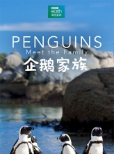 企鹅家族 Penguins: Meet the Family (2020) HD1080p.国英双语.中英双字
