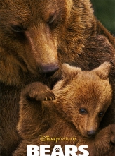 熊世界 Bears (2014) 中文字幕 Bears.2014.1080p.BluRay.REMUX.AVC.DTS-HD.MA.5.1