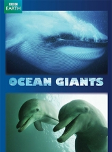 海洋巨兽 Ocean Giants (2011) 3集全 中文字幕 Ocean.Giants.S01.BBC.2011.720p.NF.WEBRip.DDP2.0.x264