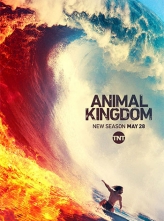 Ұ޼ 1-5ȫ+Ļ Animal.Kingdom.US.S01-S05.1080p.BluRay.x264
