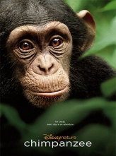 黑猩猩 Chimpanzee (2012) 中文字幕 Chimpanzee.2012.1080p.BluRay.x264