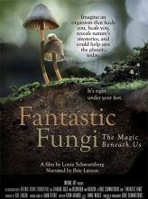 [4K超清]神奇的真菌 Fantastic Fungi (2019) 中文字幕 Fantastic.Fungi.2019.2160p.WEB-DL.x265.10bit.SDR.DD5.1