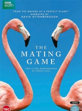 [4K超清]求偶游戏 The Mating Game (2021) 5集全 中文字幕 The.Mating.Game.2021.S01.2160p.iP.WEB-DL.x265.10bit.HDR.HLG.AAC2.0